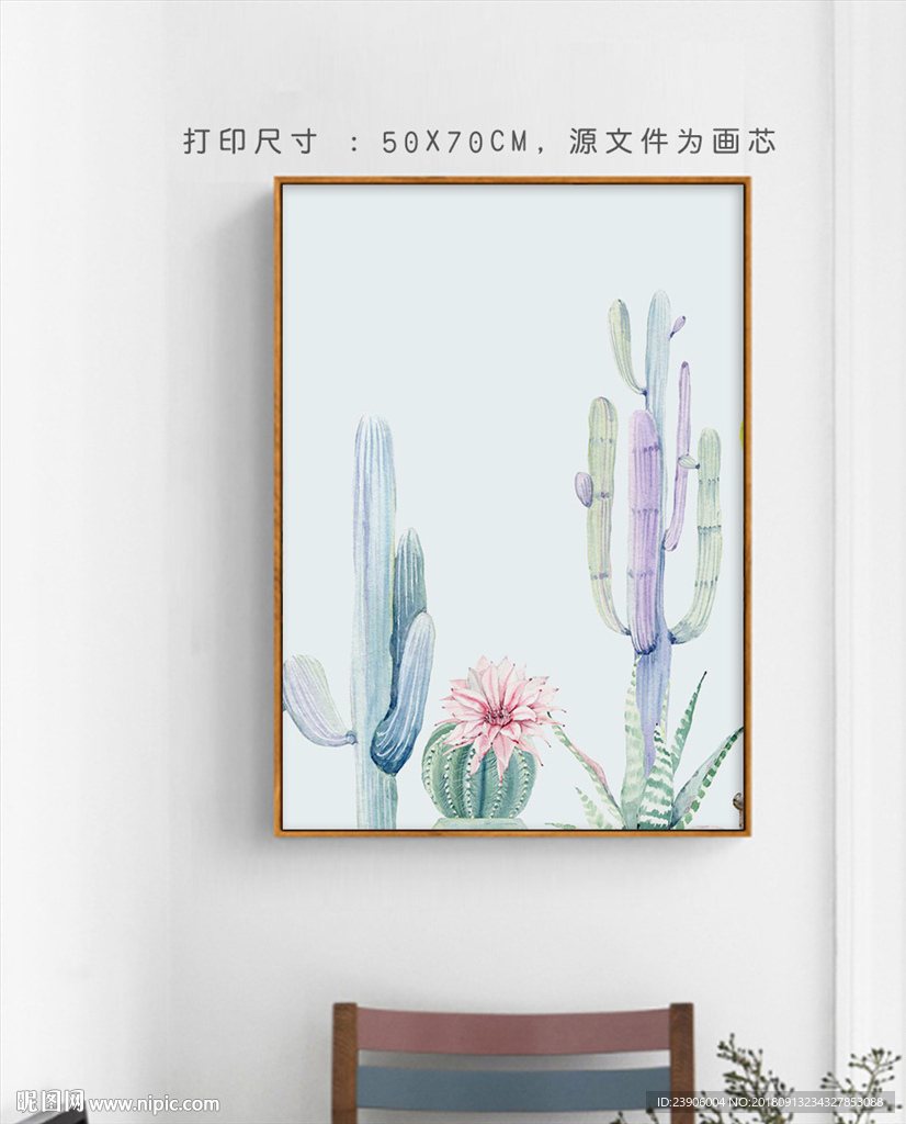 仙人掌 手绘植物家居挂画
