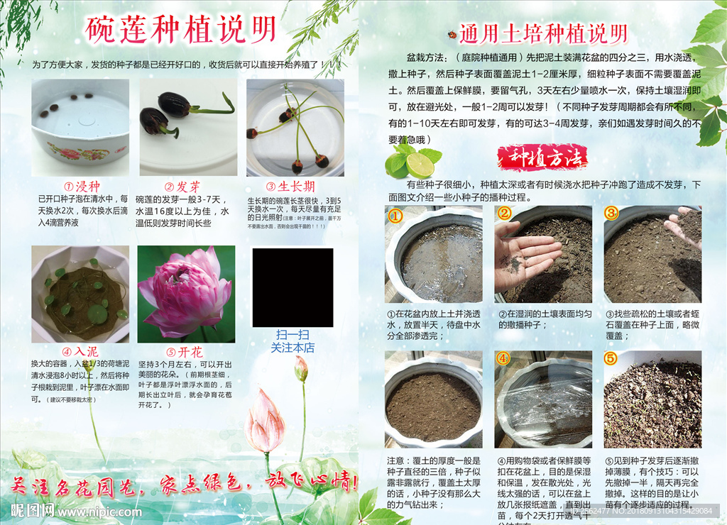 种植说明单页海报宣传页
