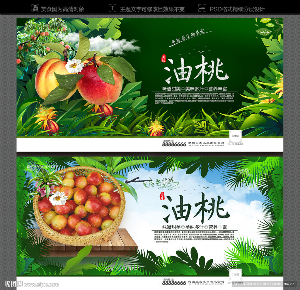 油桃