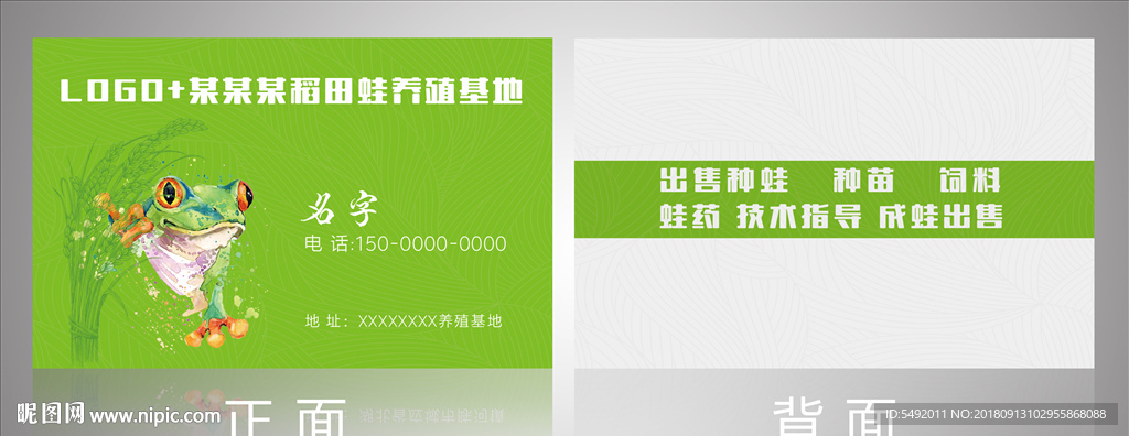 绿色名片