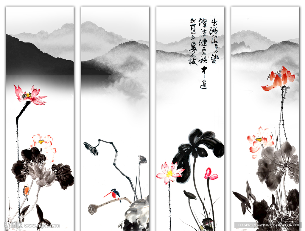 荷花