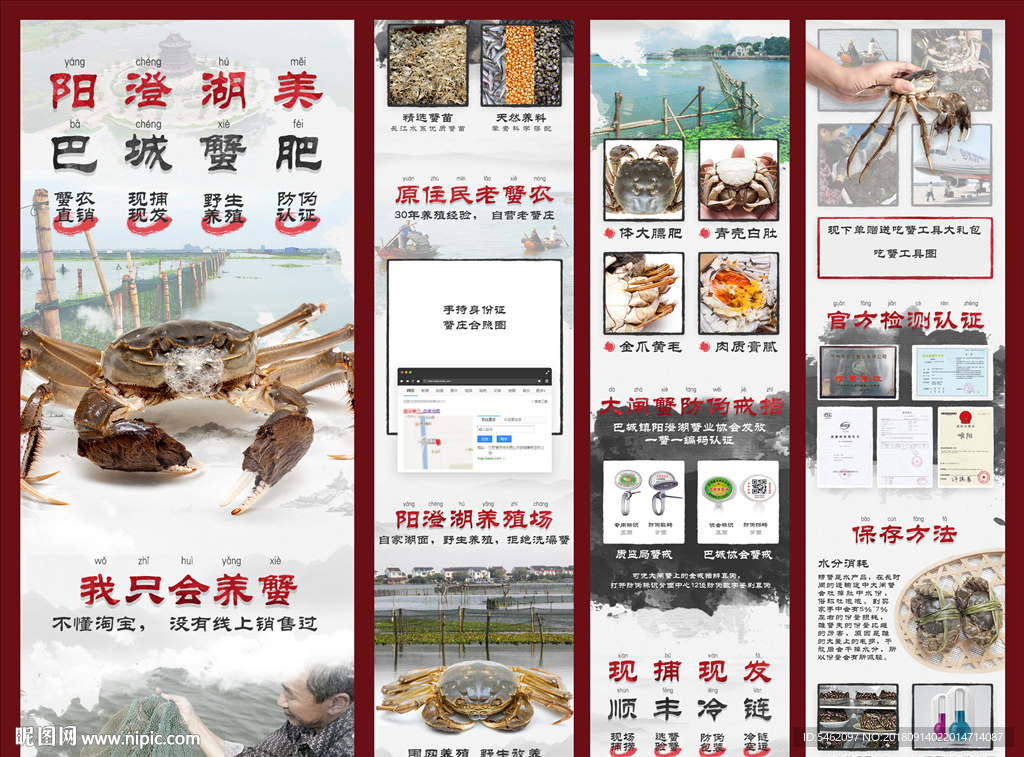 阳澄湖大闸蟹中国风生鲜详情页