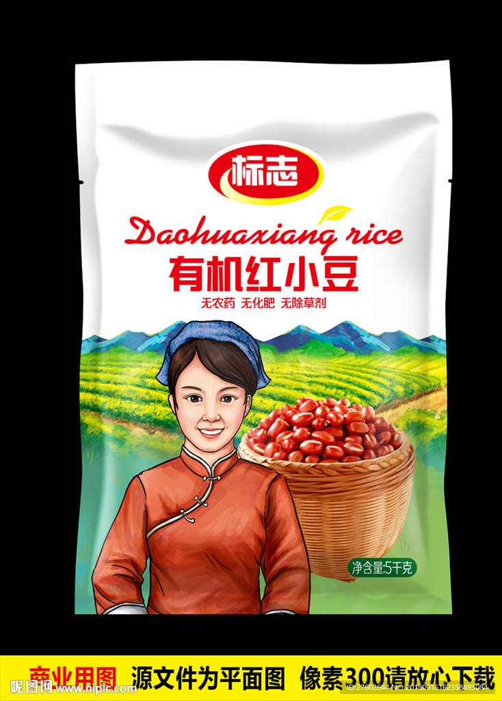 红豆 平面展开图