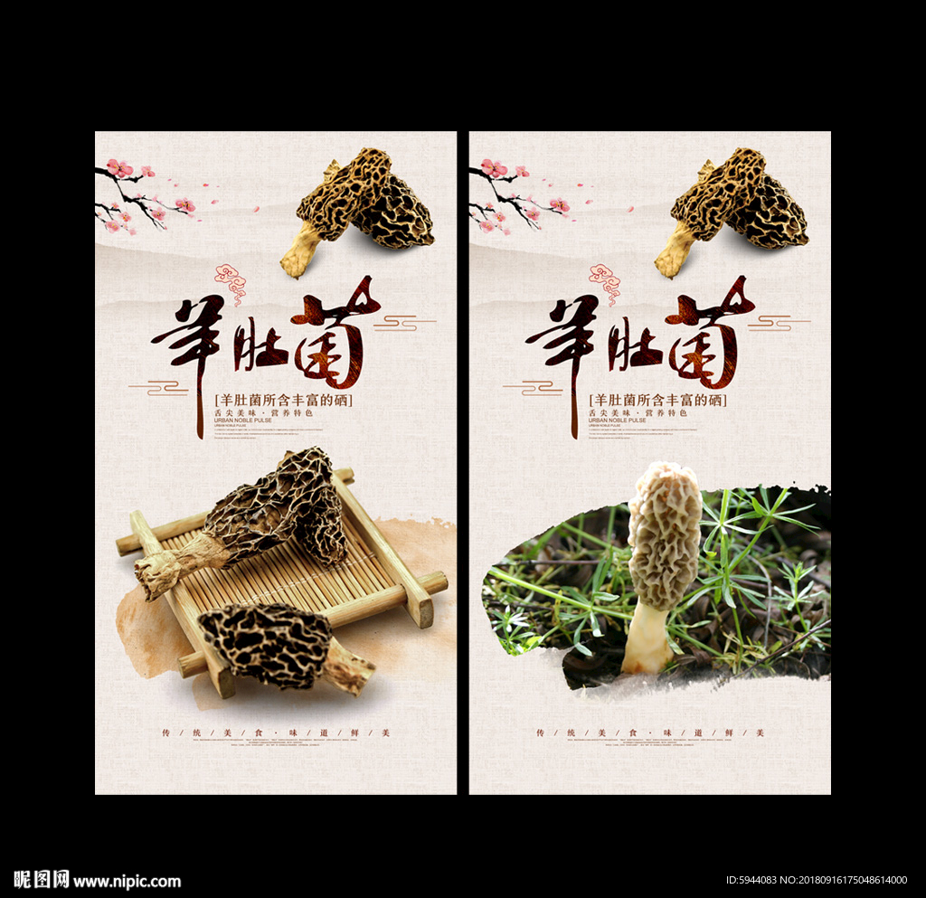 羊肚菌