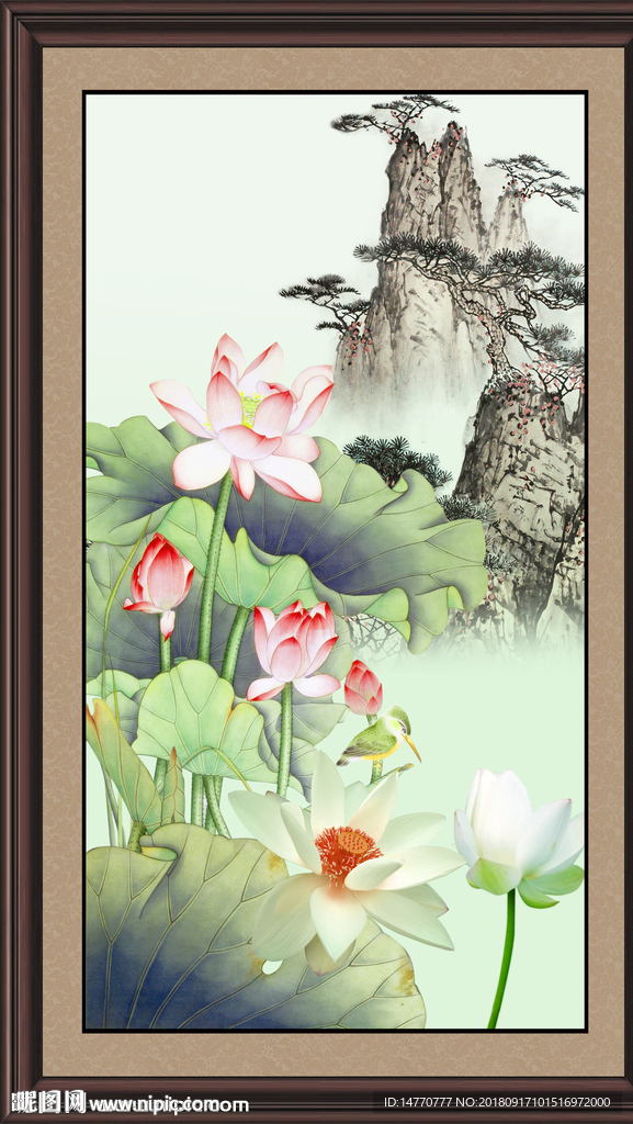 国画荷花