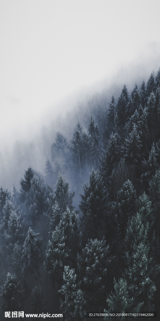 玄关装饰画 壁画 挂画 艺术画