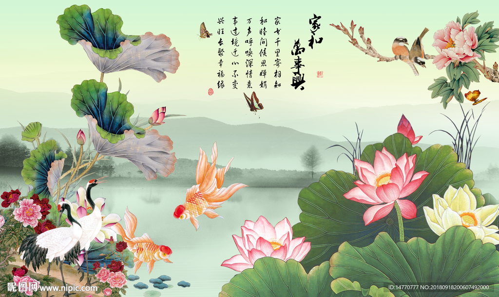 国画荷花