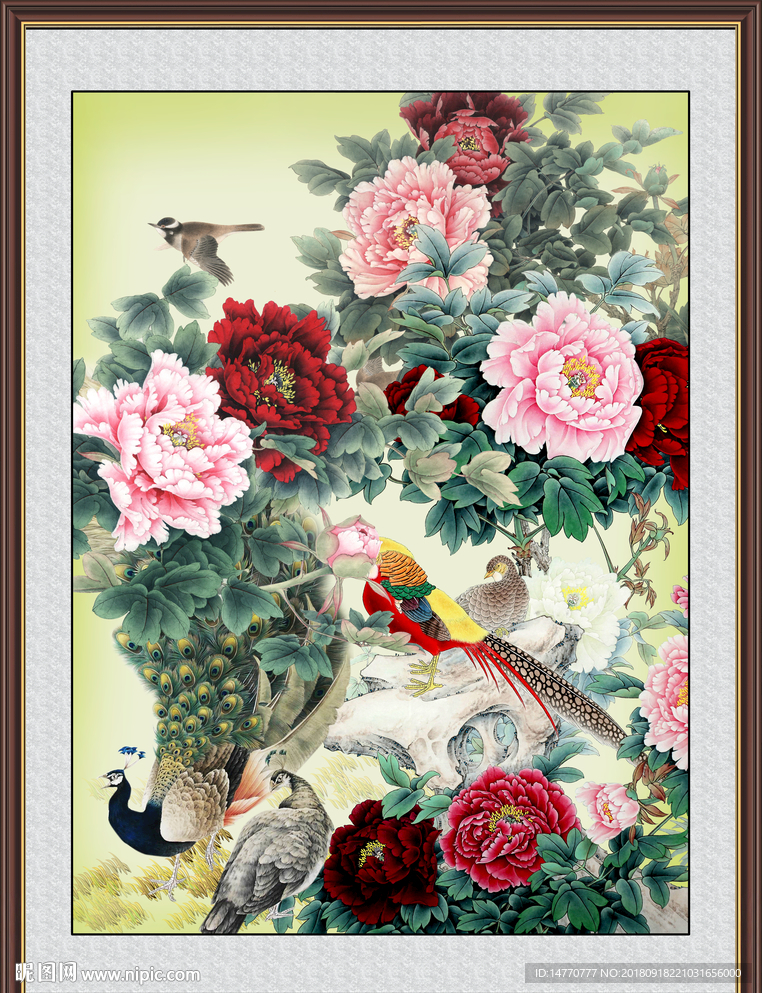 花开富贵 牡丹孔雀
