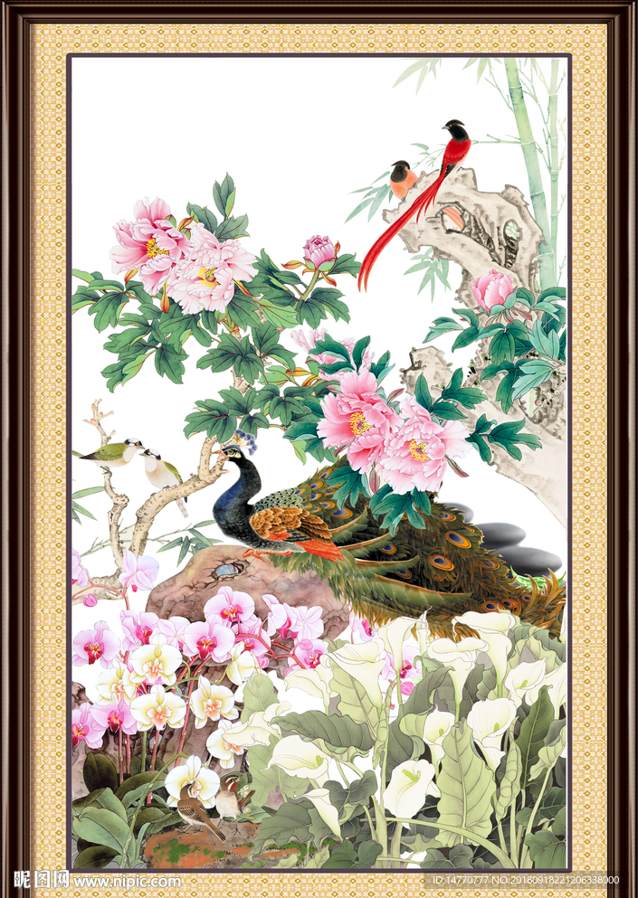 花开富贵 牡丹孔雀