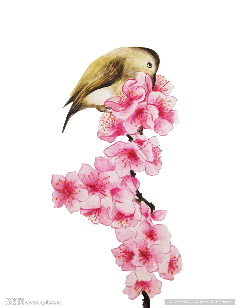 水彩桃花小鸟
