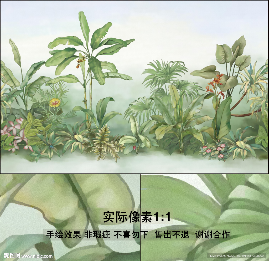 手绘植物芭蕉树西洋画油画