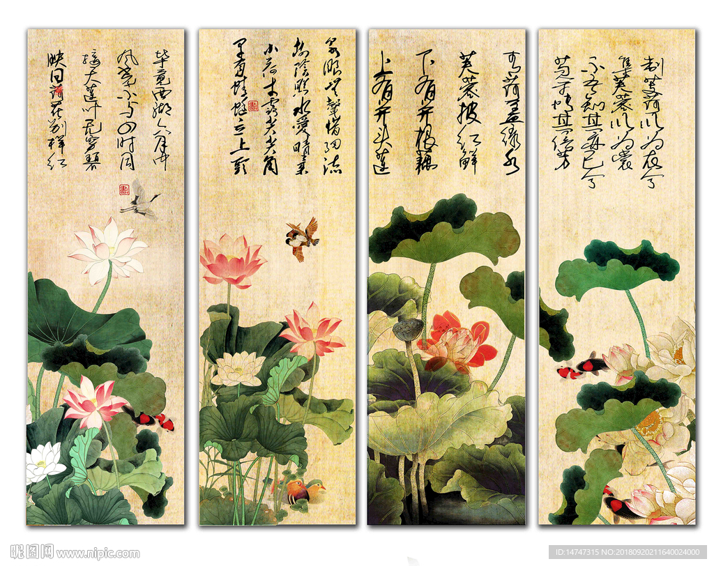 国画荷花