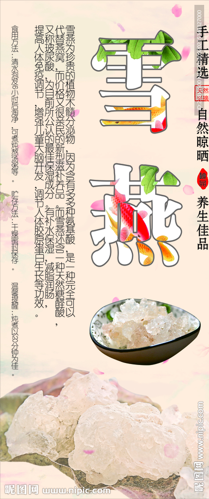 雪燕养生宣传单
