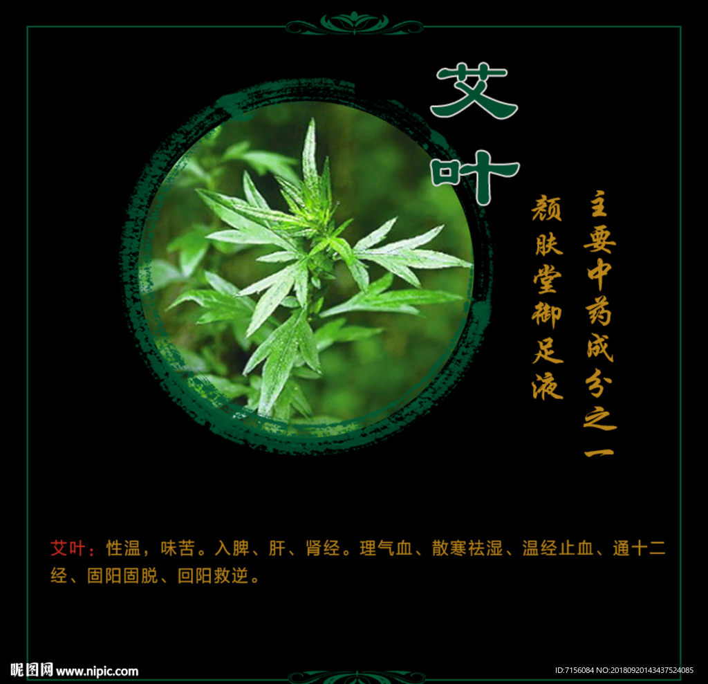 艾草