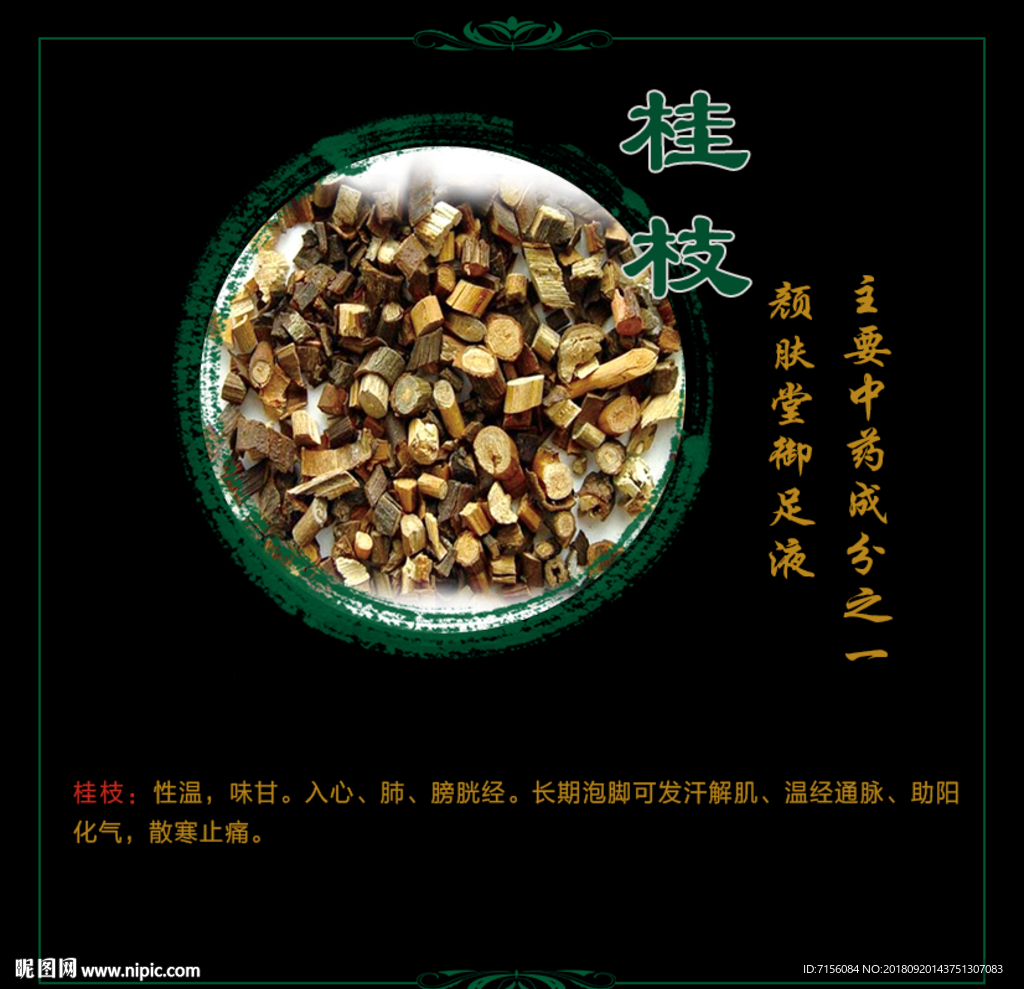桂枝