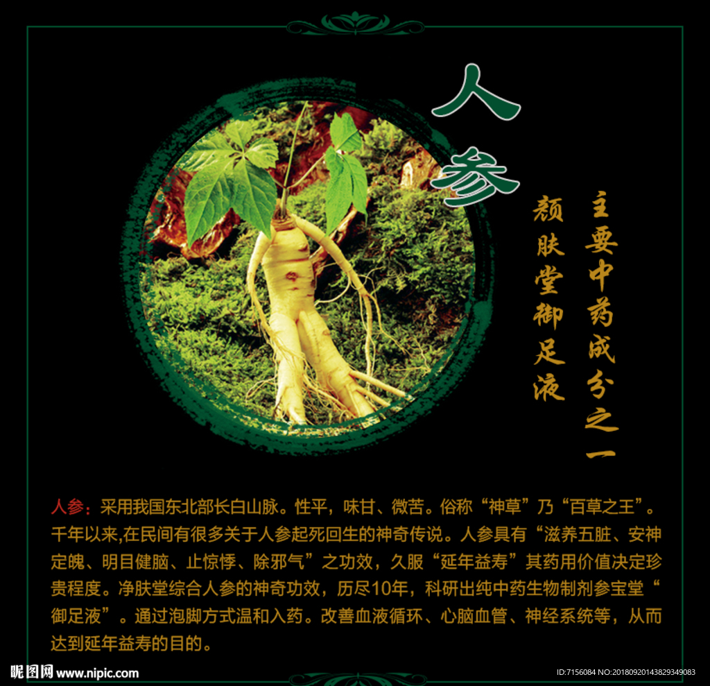 人参