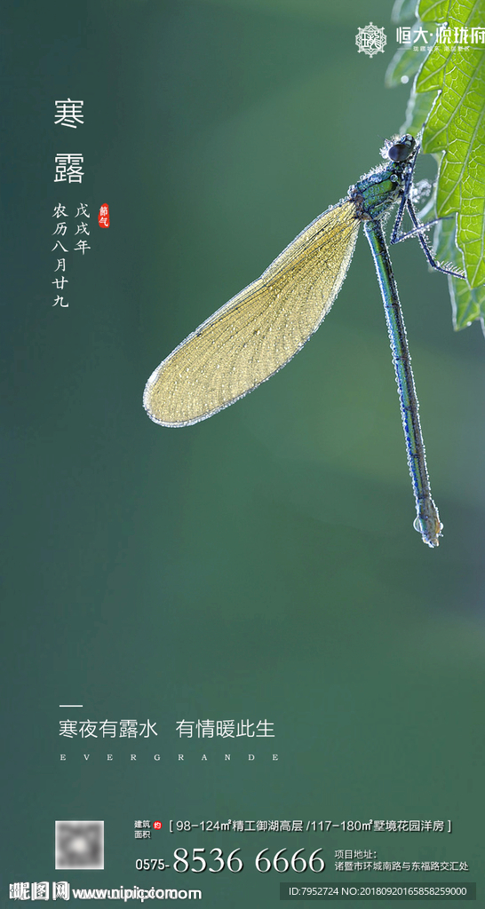 寒露
