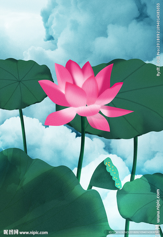 荷花图PSD
