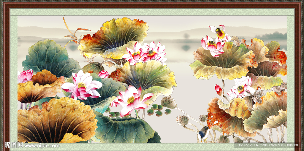国画荷花