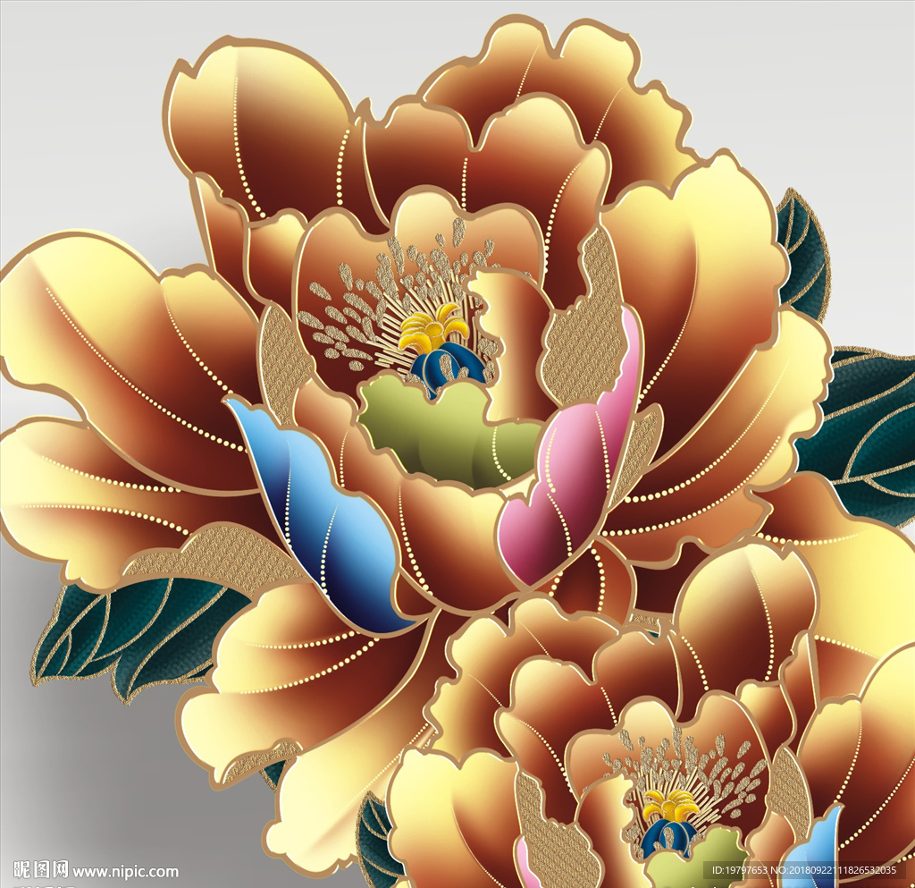 牡丹花