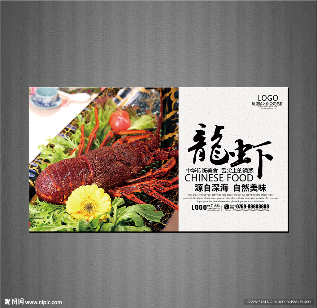 澳洲大龙虾