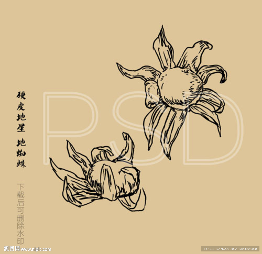 地星