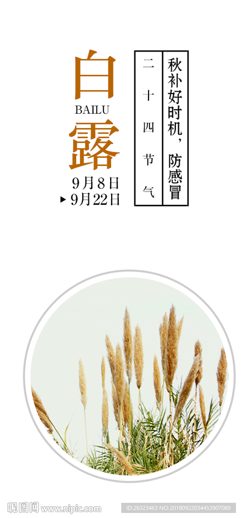 电商淘宝界面设计