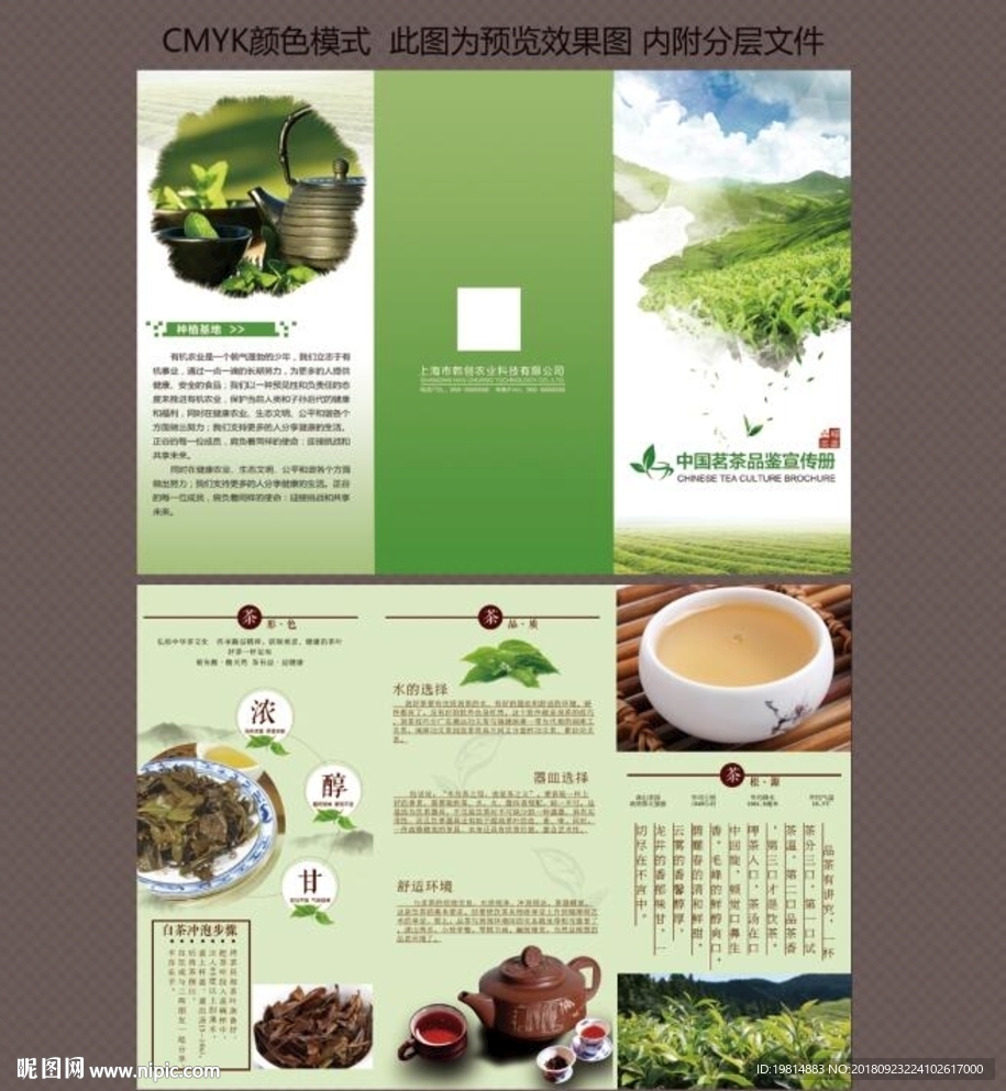 茶叶三折页