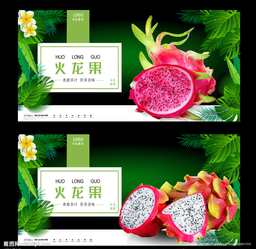 火龙果