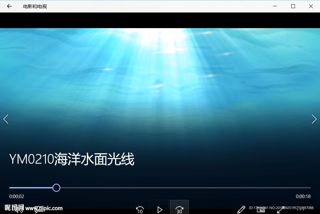 海底世界气泡珊瑚鱼