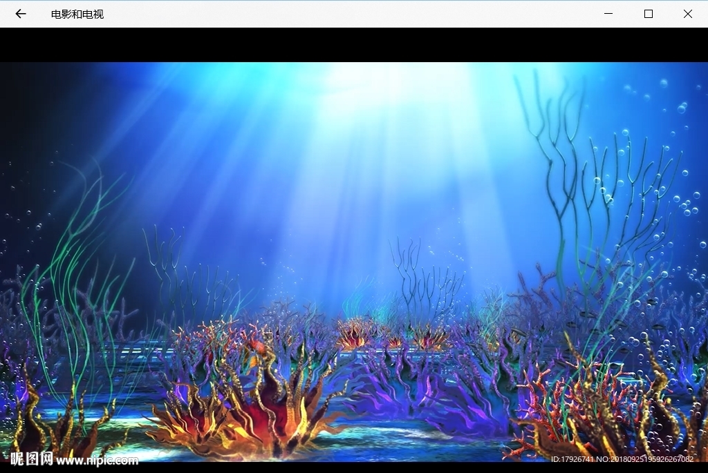 海底世界气泡珊瑚鱼