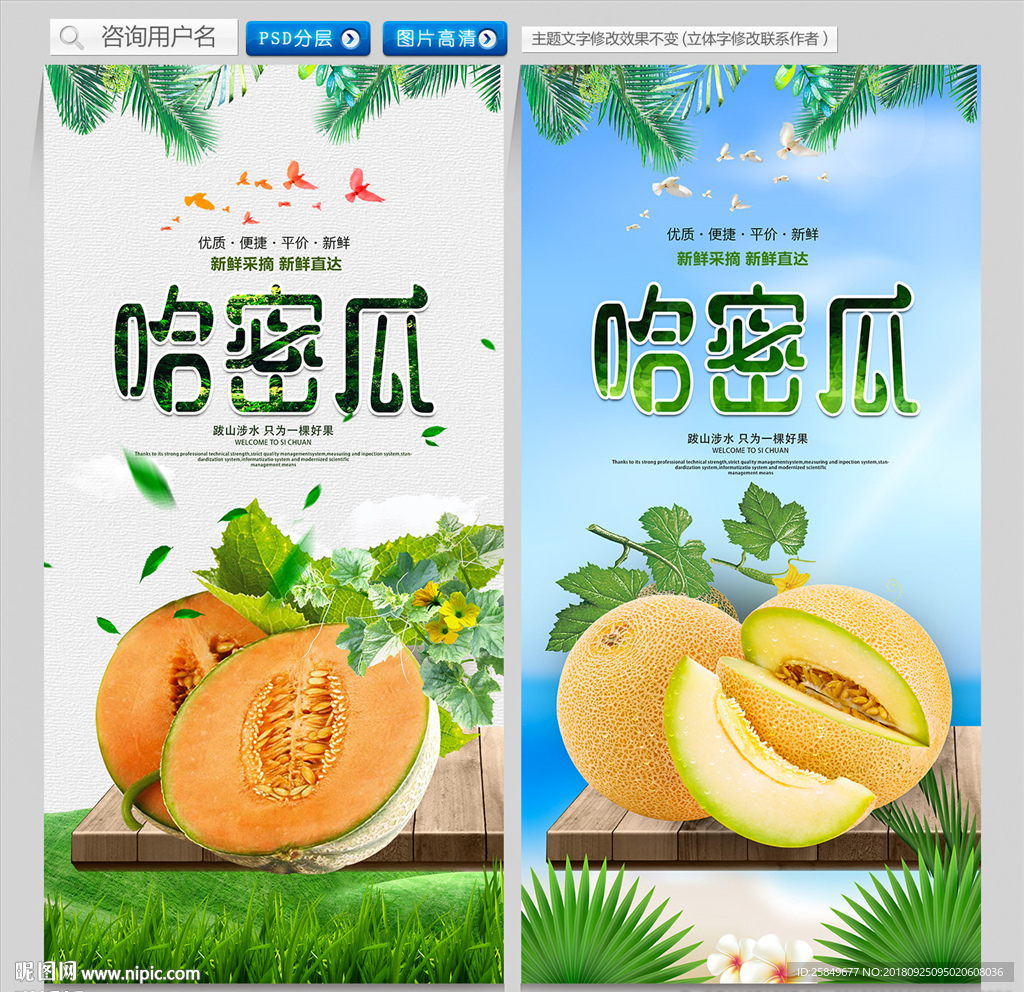 哈密瓜