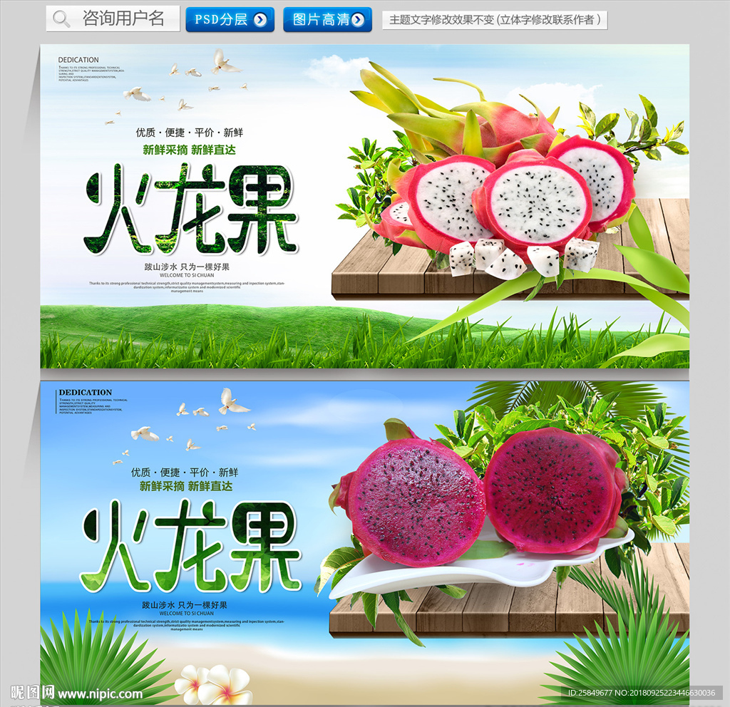 火龙果