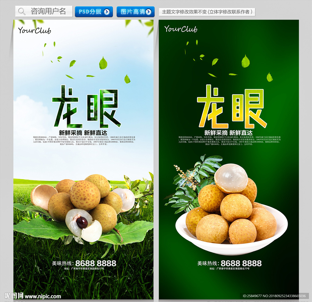 龙眼