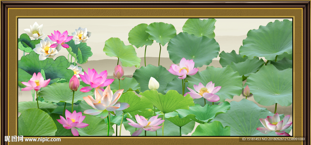 荷花 国画荷花