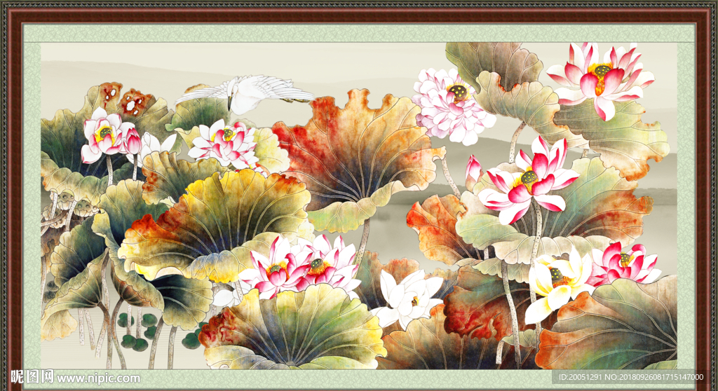 国画荷花