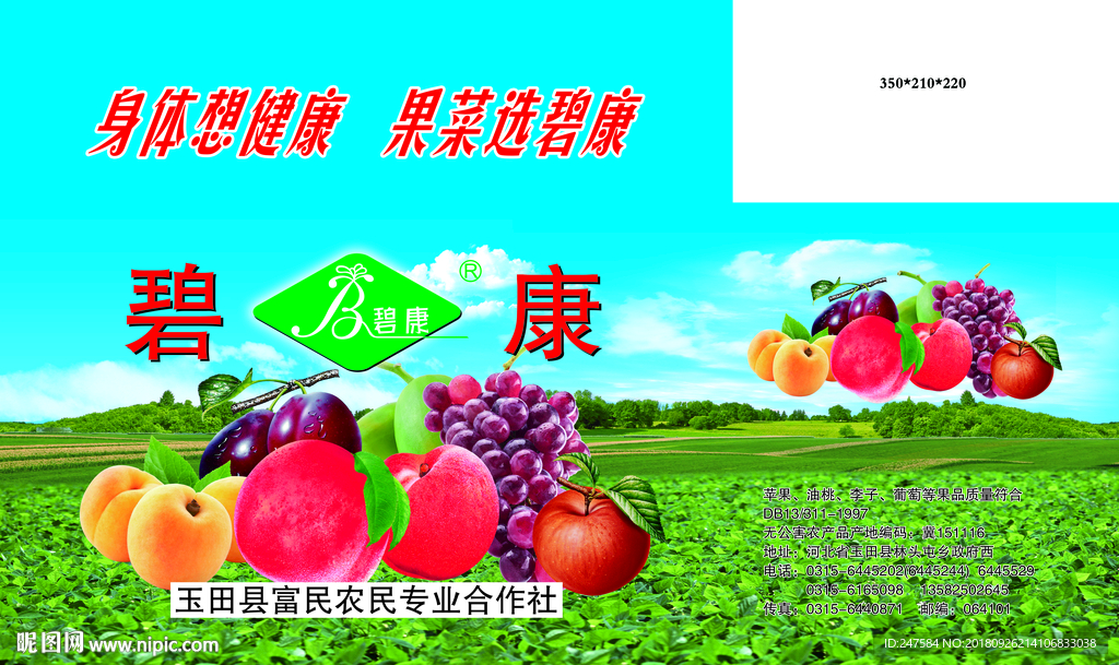 碧康水果箱