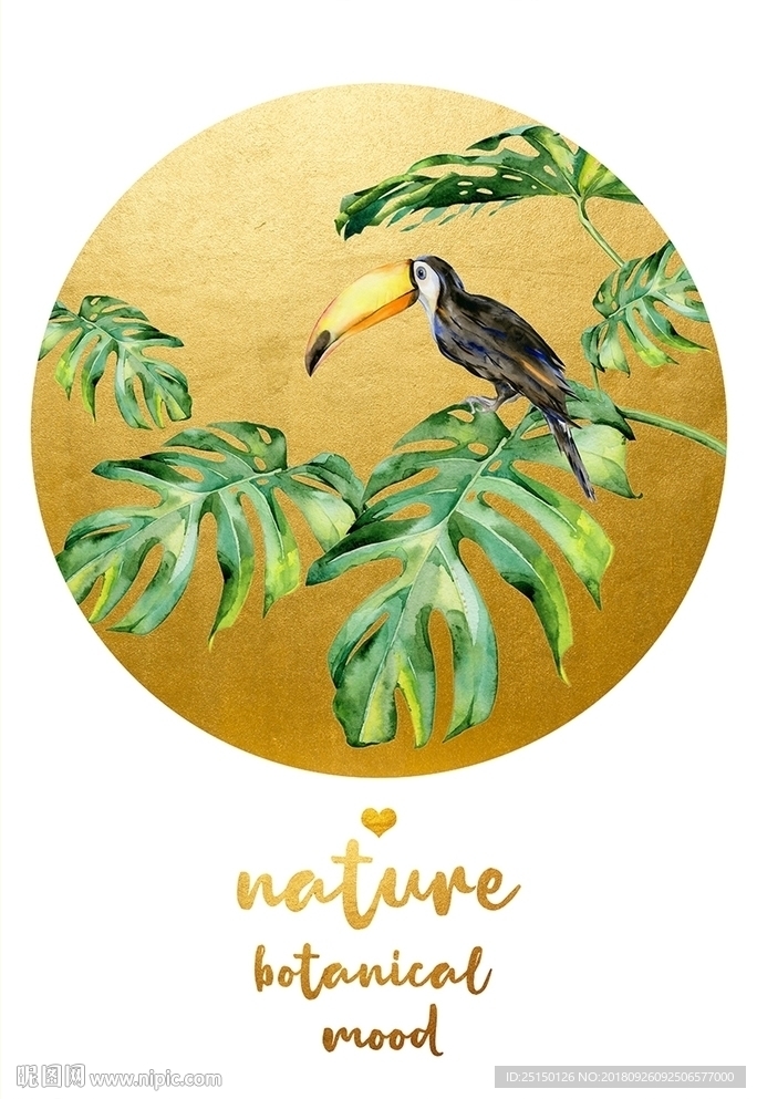 清新植物花卉装饰画