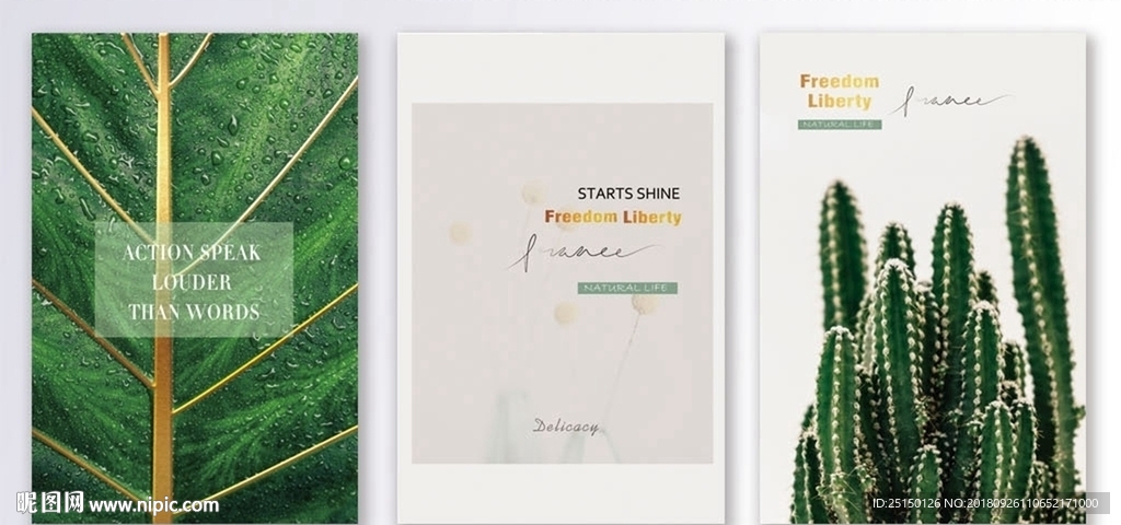 绿色多肉植物装饰画