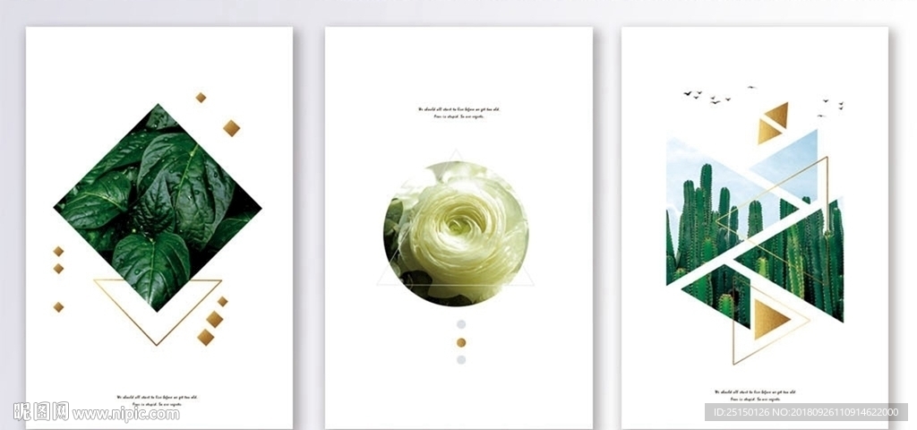 时尚简洁植物花卉装饰画