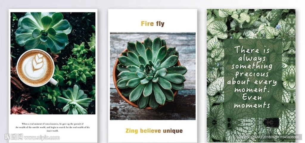 清新植物多肉绿色夏季装饰画