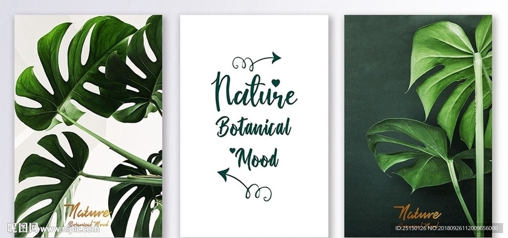 北欧小清新植物装饰画