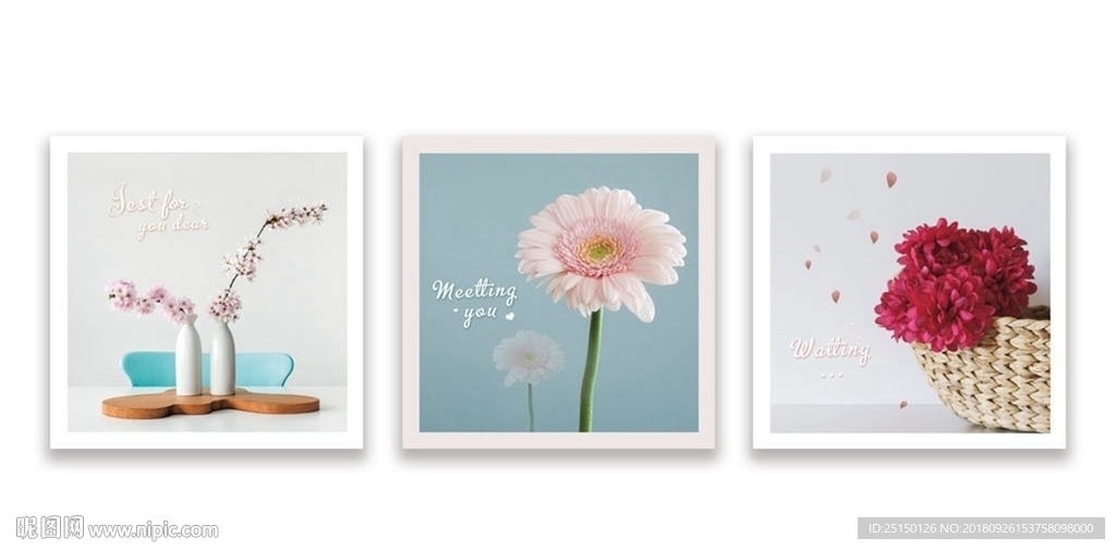 植物花卉时尚装饰画