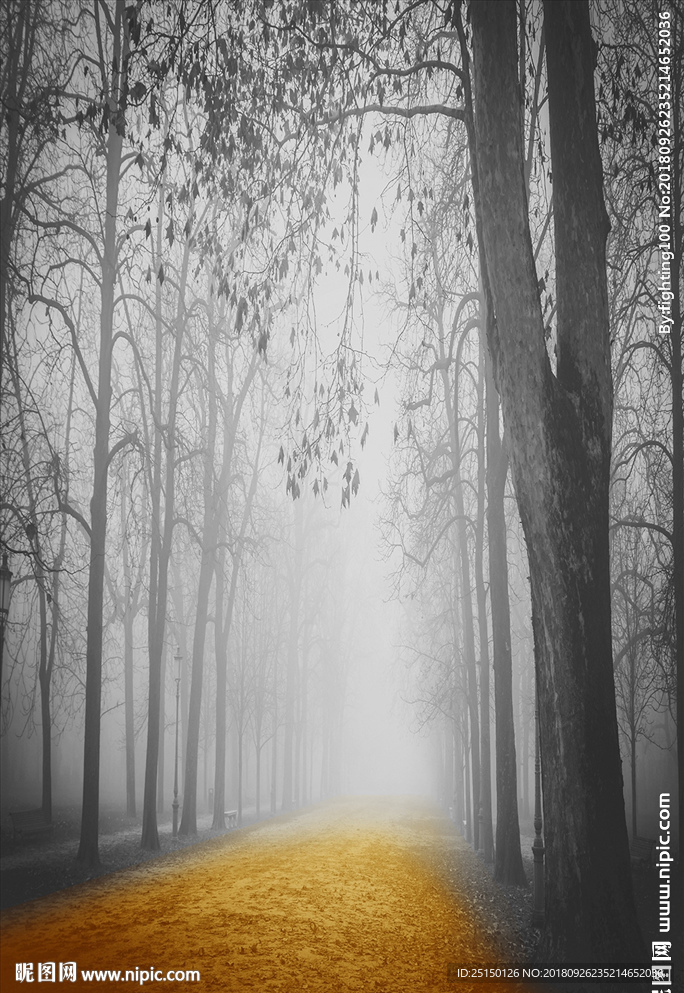 艺术风景森林装饰画