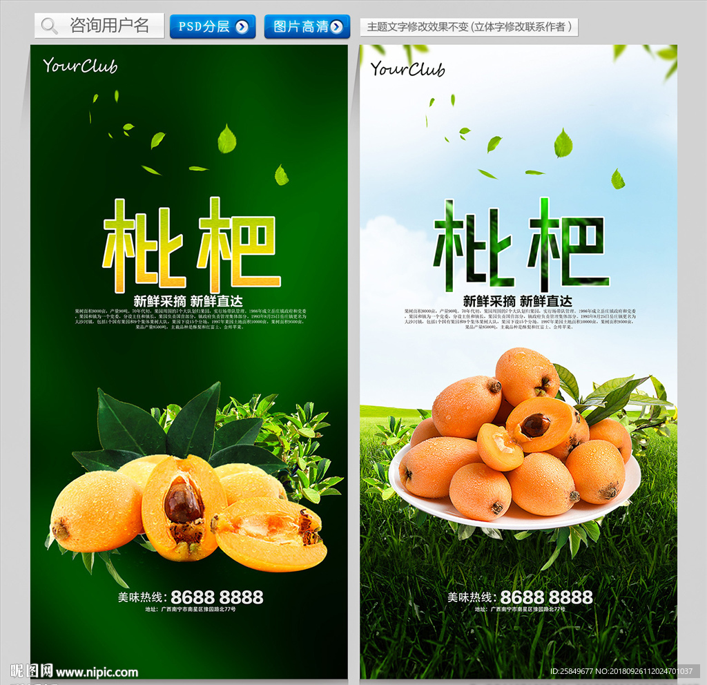 枇杷