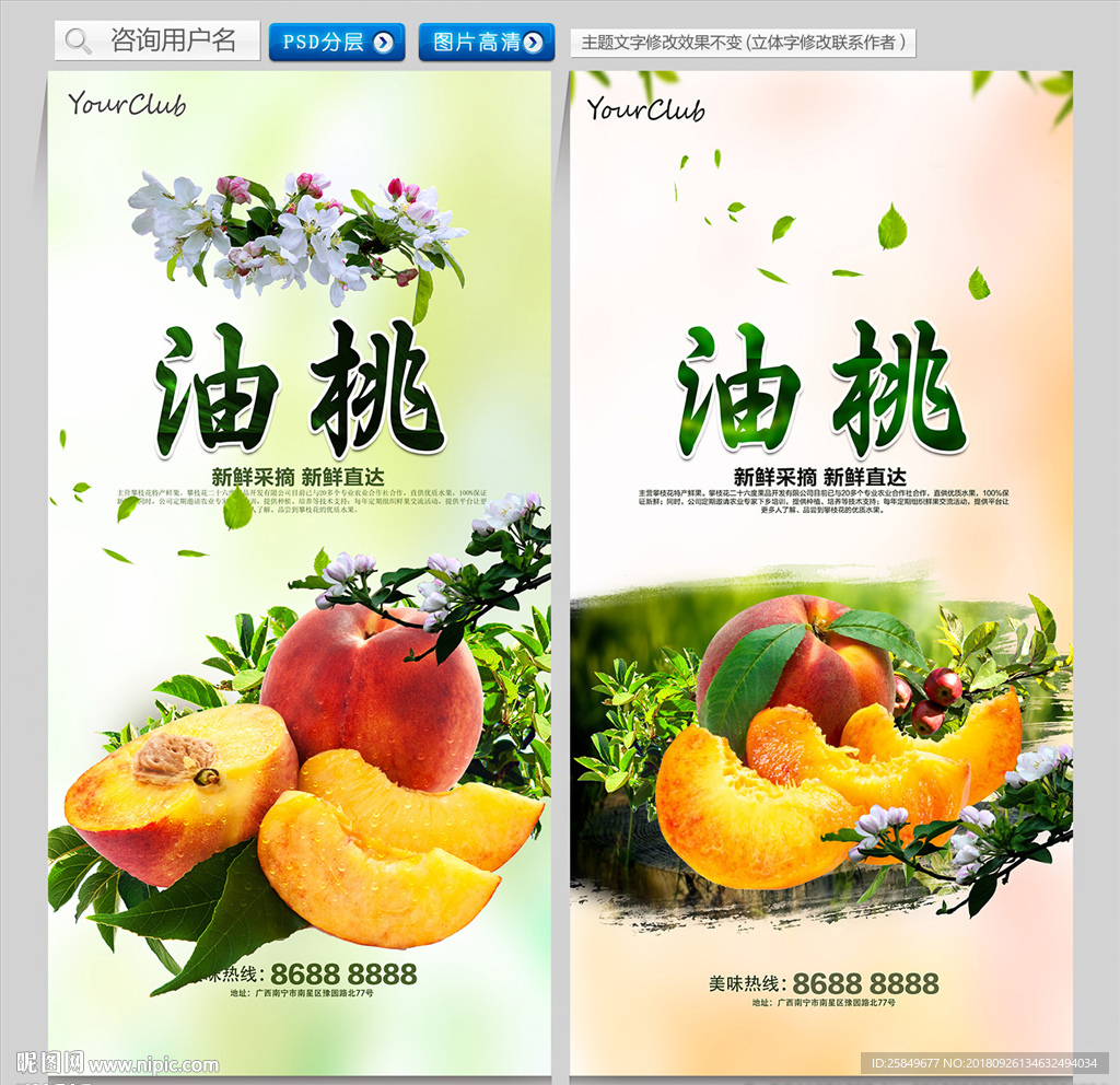 油桃