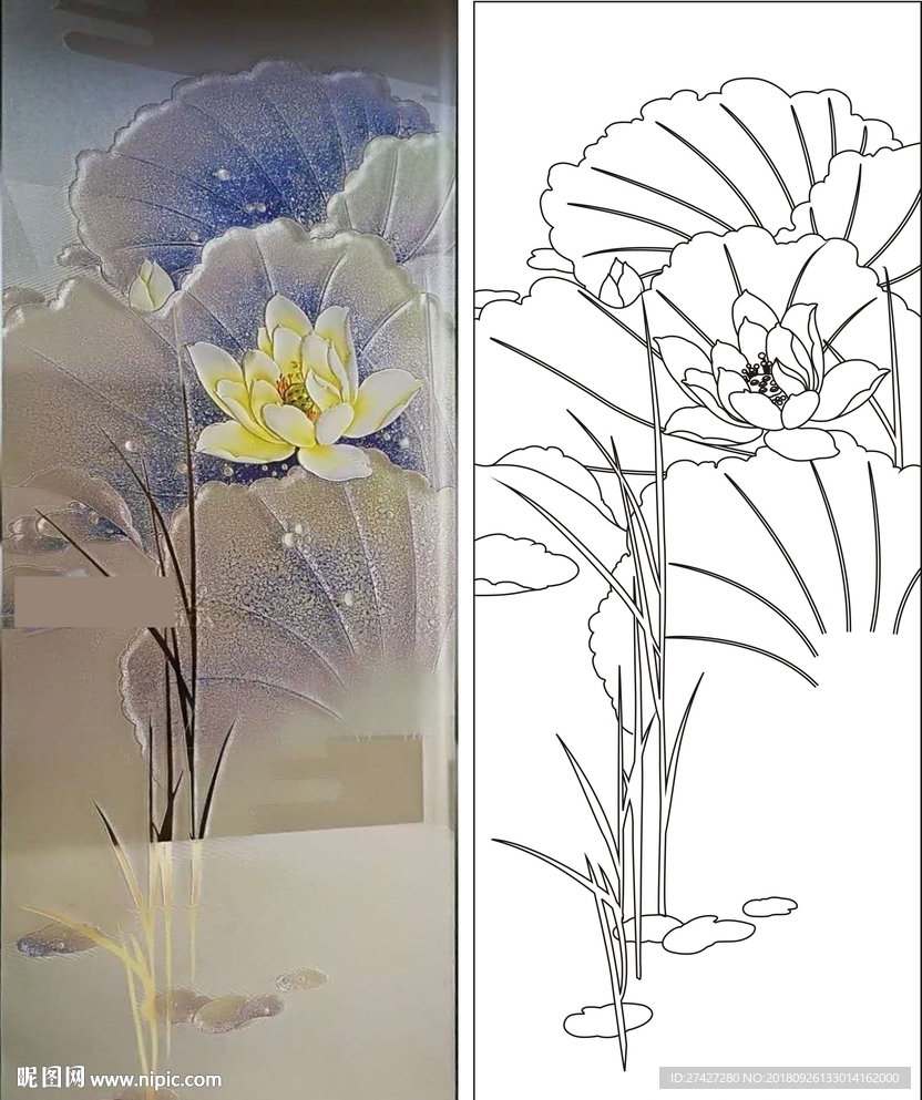 荷花