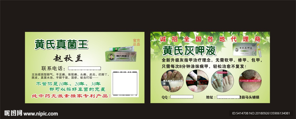 黄氏真菌王名片