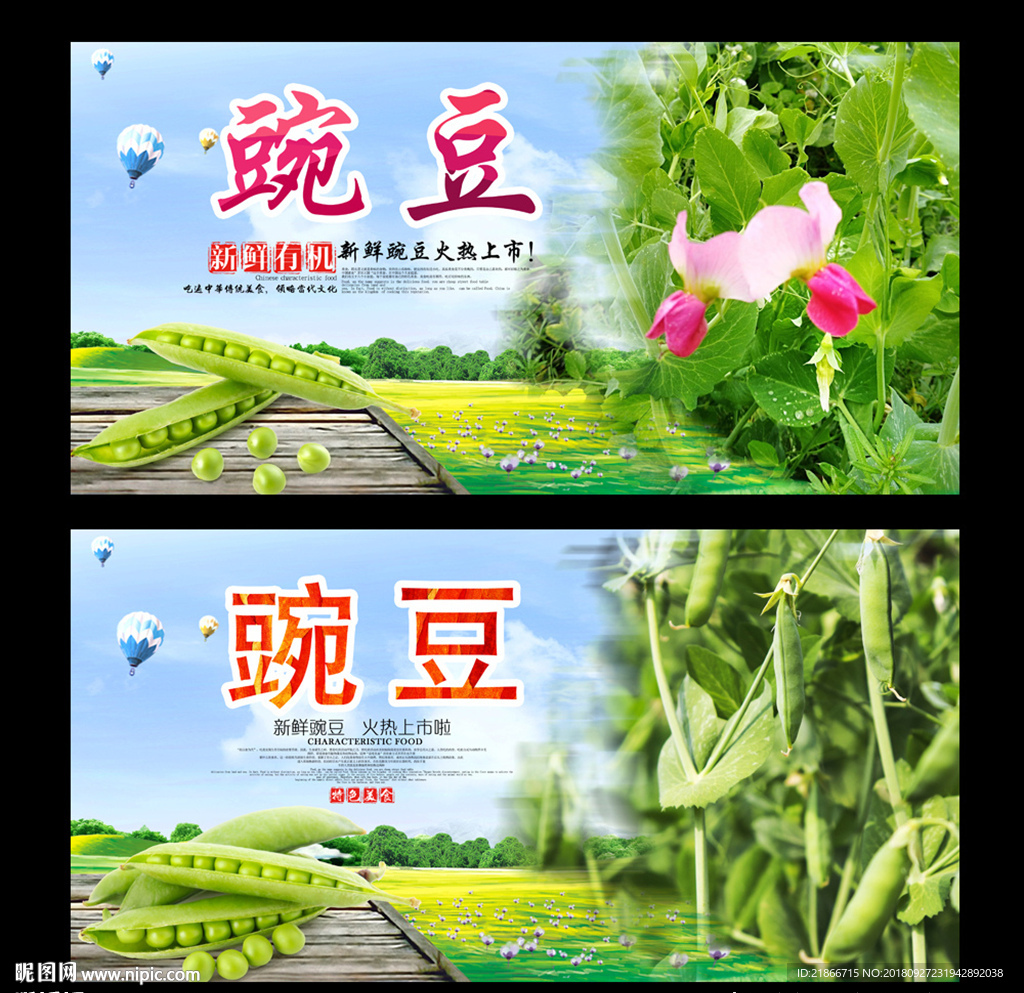 豌豆