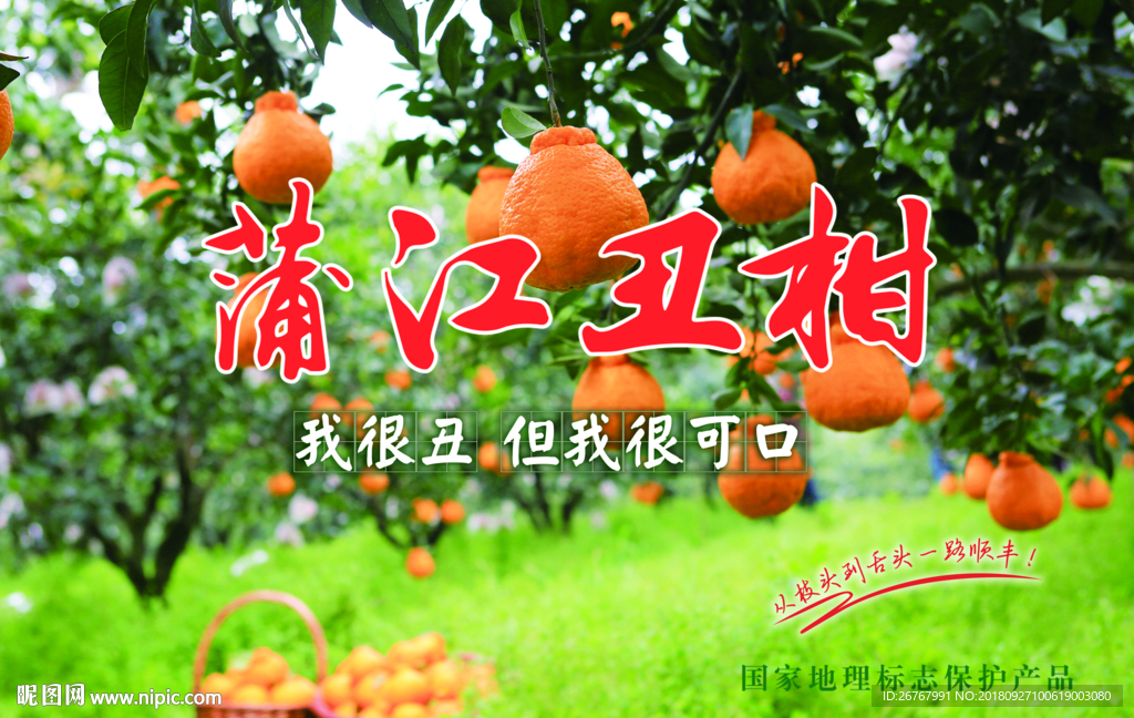 丑柑橘子海报设计图